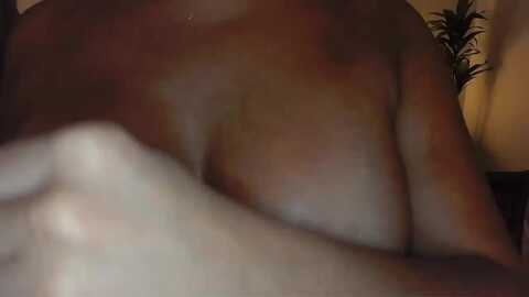 a1_scarlett