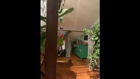 stella_kink @ stripchat on 20230828