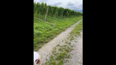 luisabecker @ stripchat on 20230829