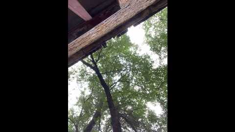 alisadave @ stripchat on 20230831