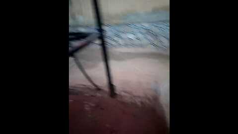 assloveel @ stripchat on 20230901