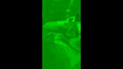 chiaralewis @ stripchat on 20230922
