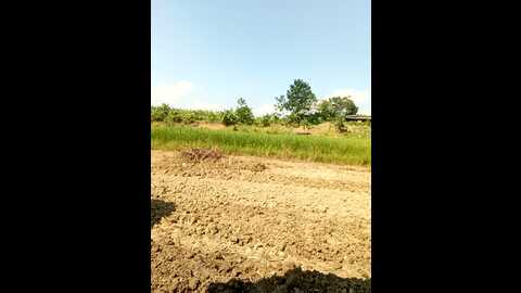 couple_fuck_toy @ stripchat on 20230924