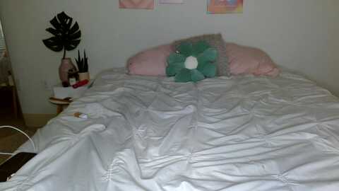 jevinlove_ @ stripchat on 20230927