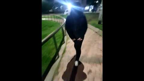 babby_angel_ @ stripchat on 20230928