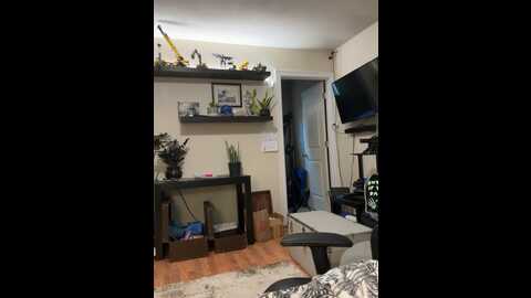 ladylena1 @ stripchat on 20230928