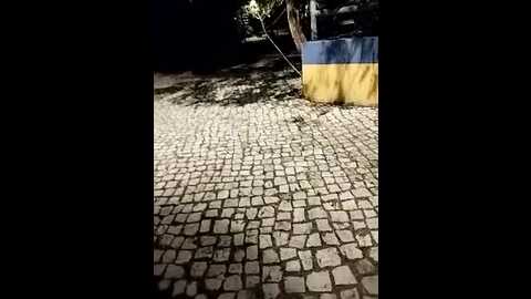 anjosardentes @ stripchat on 20231002