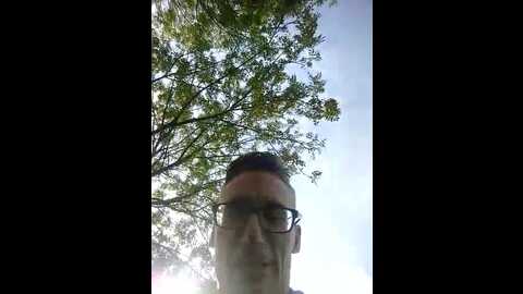 micky_mouth @ stripchat on 20231002