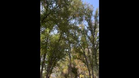 your_karina @ stripchat on 20231006