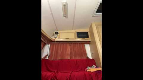 alimela @ stripchat on 20231010