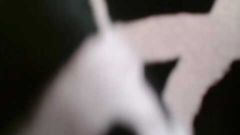 pako60_pako60 @ stripchat on 20231013