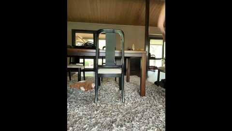 karissachantelle @ stripchat on 20231014