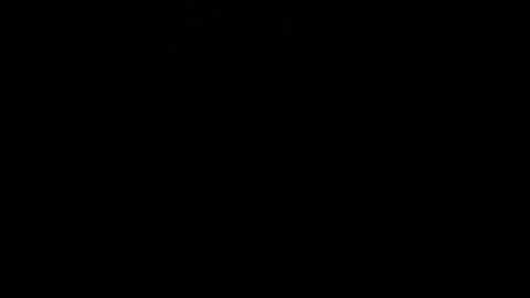 celinesthlm