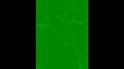 wet__bunny @ stripchat on 20231022