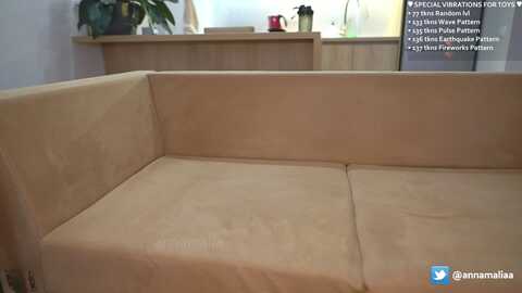 annamalia_ @ stripchat on 20231108
