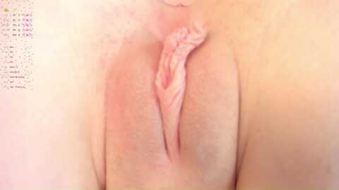 fionee @ stripchat on 20231111