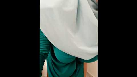 amalarabic @ stripchat on 20240920