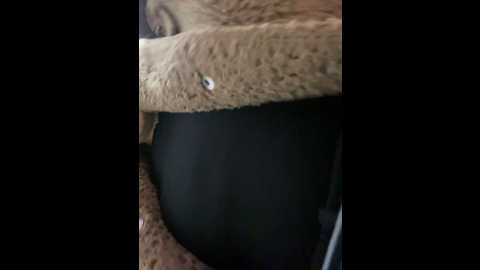 chloe__rose @ stripchat on 20240923