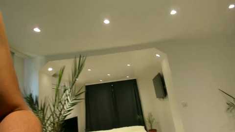 misspanthera @ stripchat on 20240923