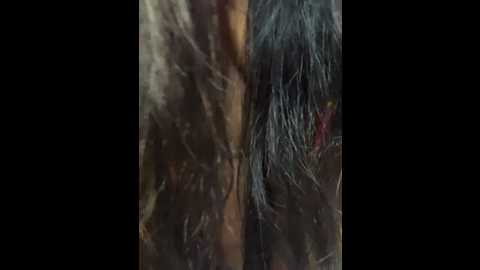 nidhixx21 @ stripchat on 20240923