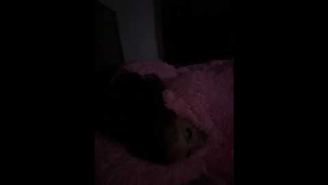 yellalovee @ stripchat on 20240925