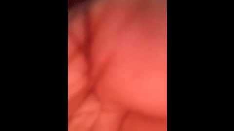 babi_sham @ stripchat on 20240926