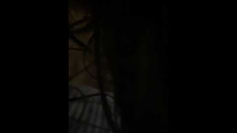 lina_twin @ stripchat on 20240926