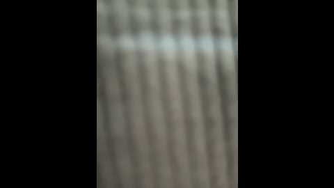 the_snowwhitee @ stripchat on 20240929