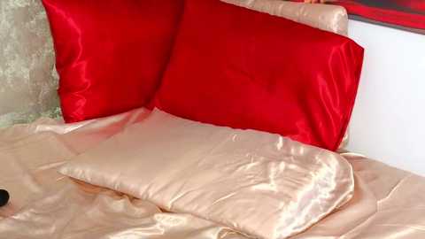 moniqque @ stripchat on 20240930