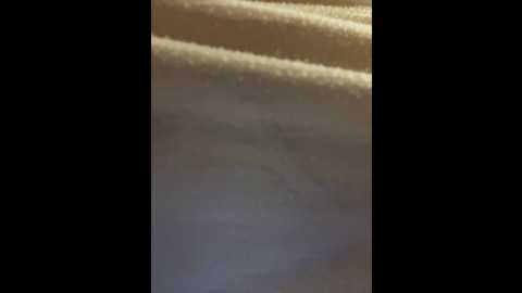 didihairypussy @ stripchat on 20241001