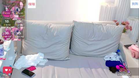 mimigougou_666 @ stripchat on 20241001