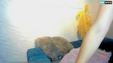 play_sex18 @ stripchat on 20241001
