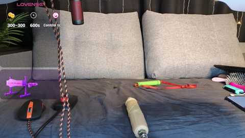 sofia_wills666 @ stripchat on 20241001