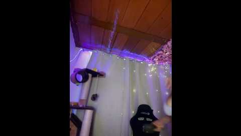enyeld_ruru @ stripchat on 20241002