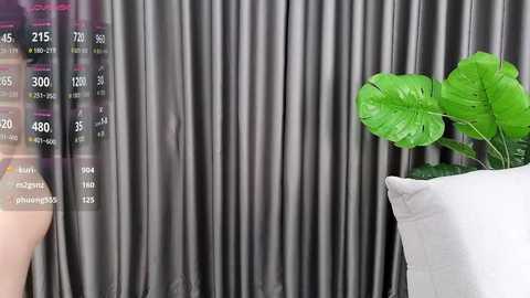 venus_meomeo @ stripchat on 20241002