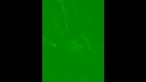 chickysue @ stripchat on 20241003