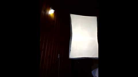 elnonoykeila77 @ stripchat on 20241003