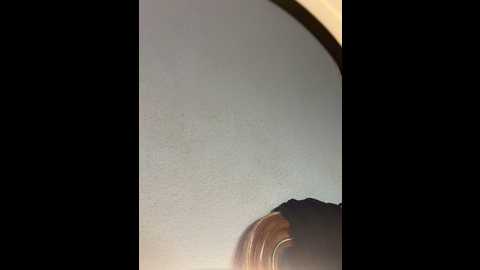 venusrey_ @ stripchat on 20241003