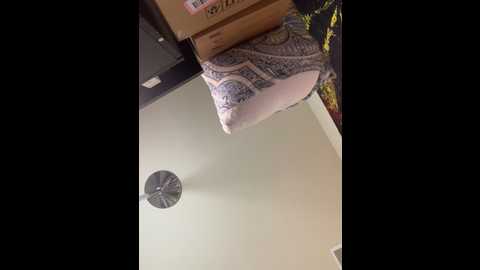 butterflybootyy @ stripchat on 20241004