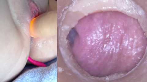 danigirl866 @ stripchat on 20241005