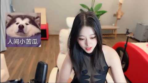 xiaohe_ @ stripchat on 20241005