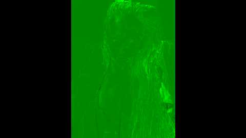 alimela @ stripchat on 20241006