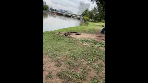 missvogue_010 @ stripchat on 20241006