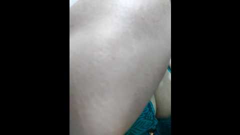 suvosri @ stripchat on 20241006