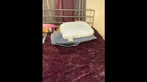 zadaraye @ stripchat on 20241006