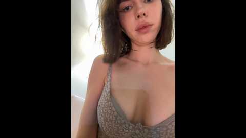 bastet @ stripchat on 20241007