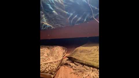 zasmin324 @ stripchat on 20241007