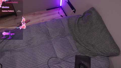 _eelusivee_