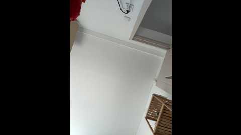 alimela @ stripchat on 20241008