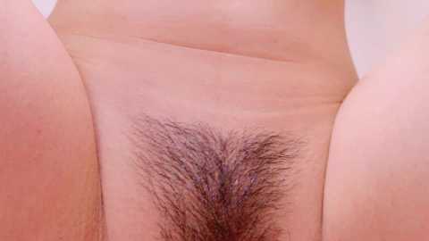 yui_ch @ stripchat on 20241008